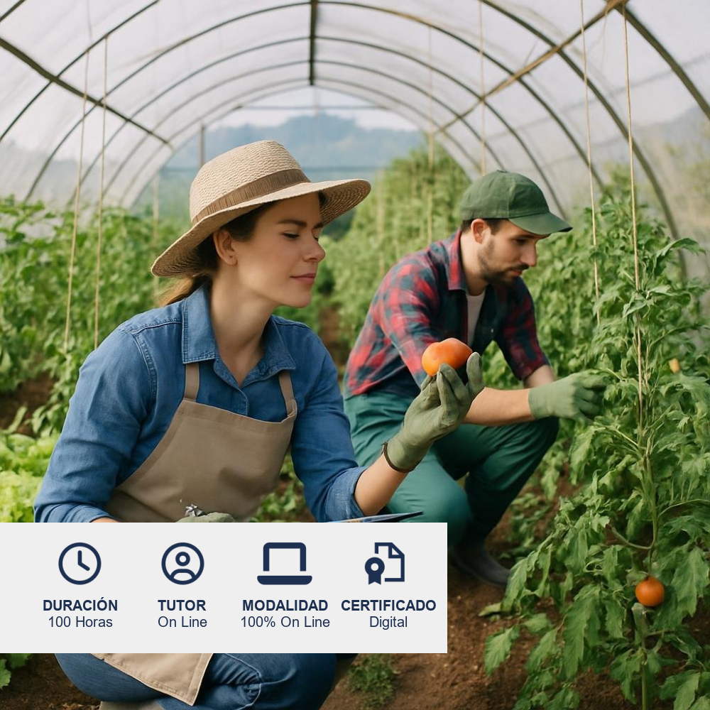 Curso de Producción de Hortalizas en Invernadero
