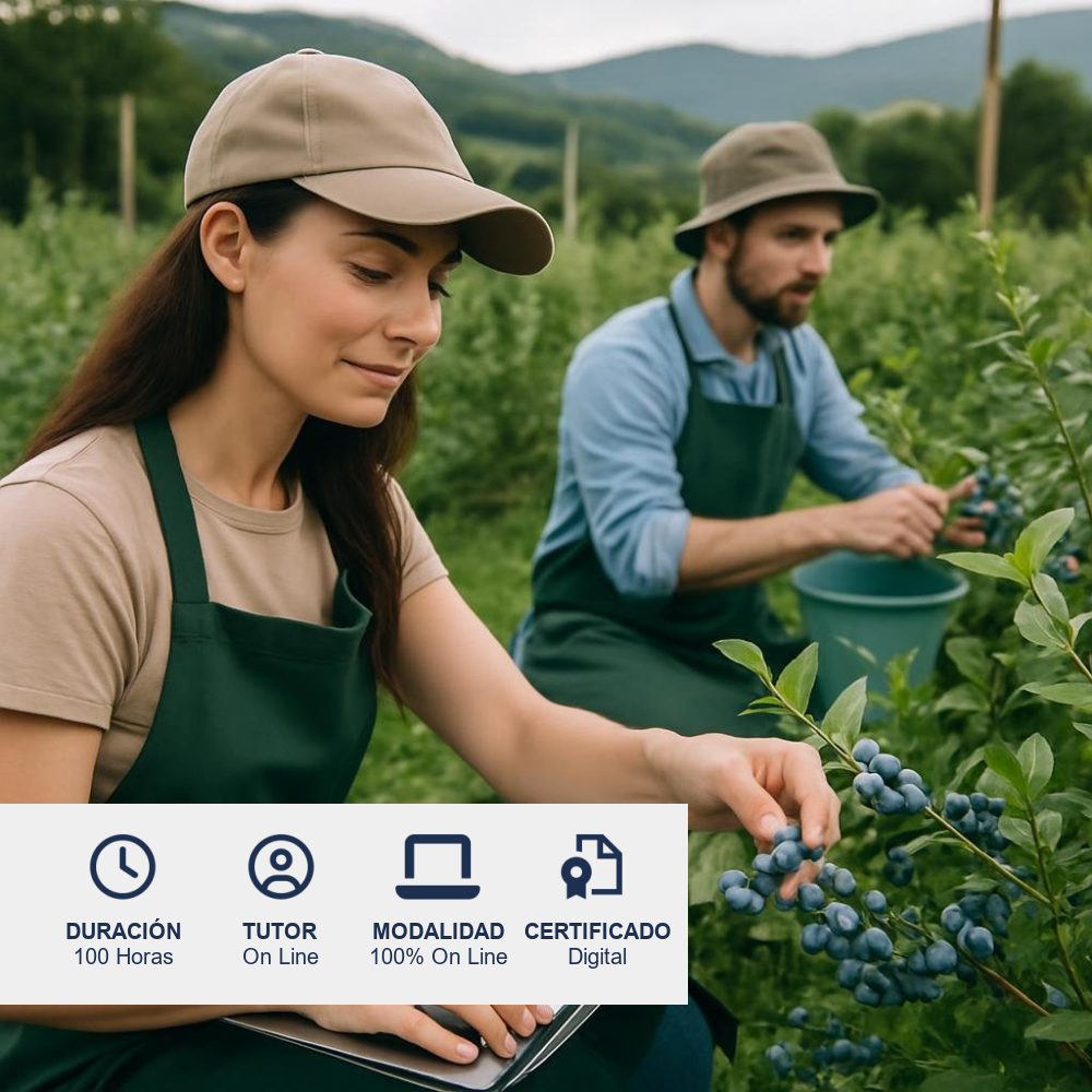 Curso de Producción de Arándanos