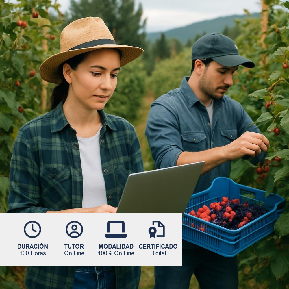 Curso de Producción de Frambuesas y Moras