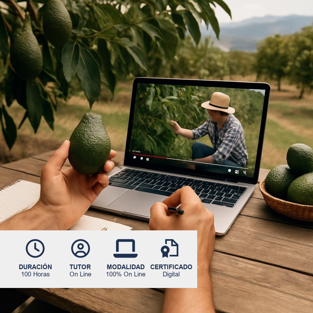 Curso de Producción de Paltos