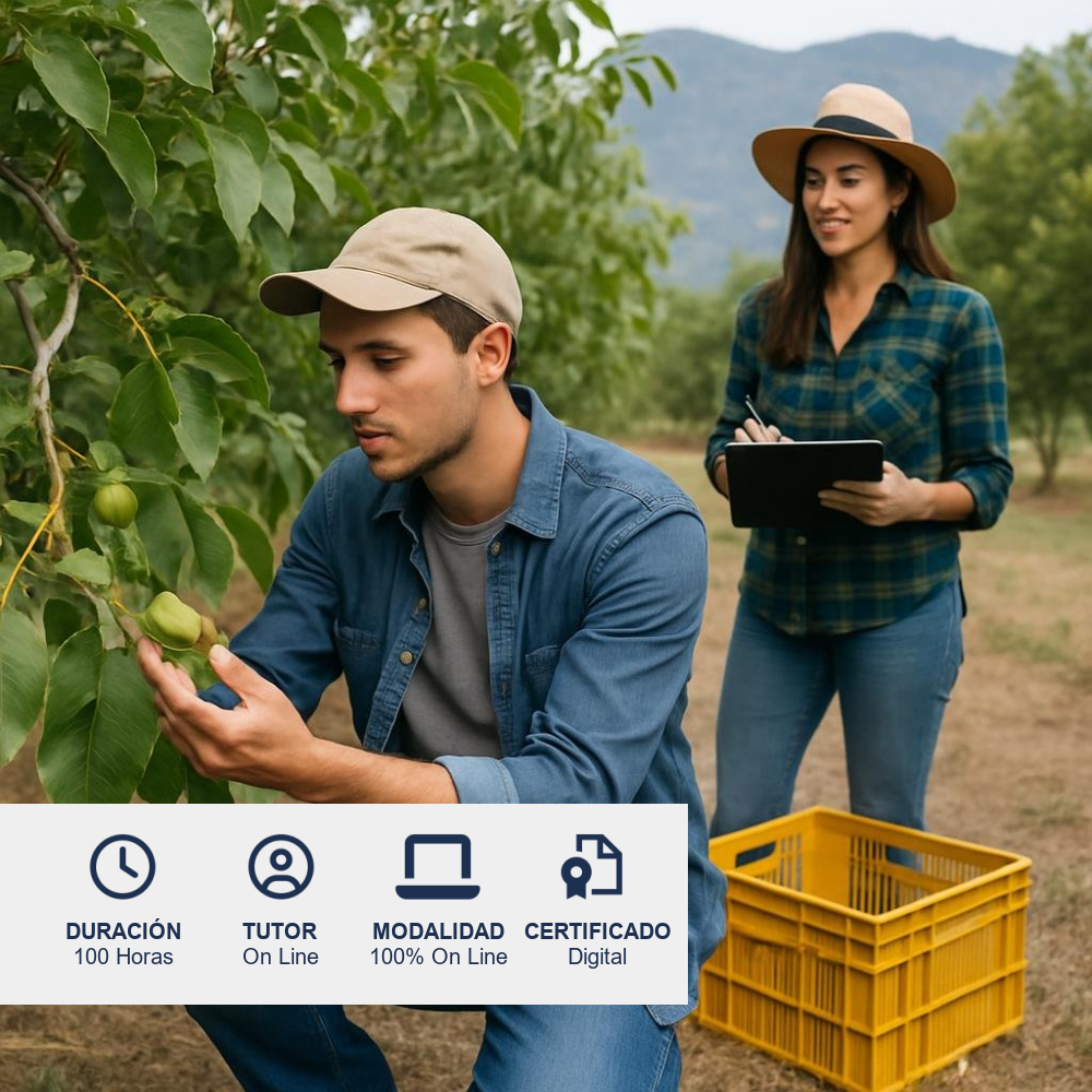 Curso de Producción de Nogales
